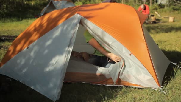 Мужчина трогает смартфон в палатке. Сначала откройте палатку, сенсорный экран и закройте палатку. Солнечный день в лесу — стоковое видео