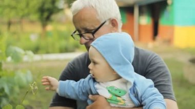 Büyükbaba torununa asma gösteriyor. Güzel bebek gülümseyen ve bitki dokunaklı