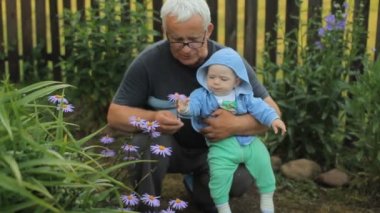 Büyükbabam torununa çiçek veriyor. Güzel bebek gülümseyen ve bitki dokunaklı