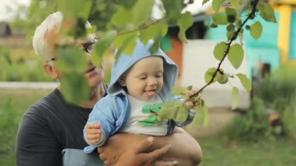 Abuelo mostrando a su nieto manzano. Hermoso bebé sonriendo y tocando la planta — Vídeos de Stock