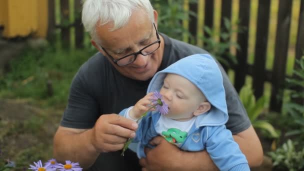 Grandfather giving a flower to his grandson. Beautiful baby smiling and touching plant — Stock Video