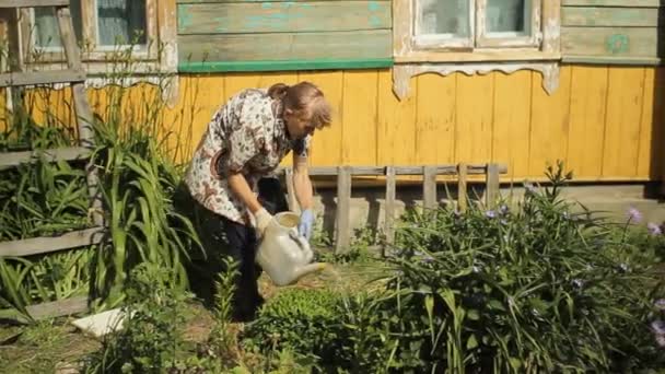 Senior vrouw drenken bloemen in haar tuin thuis — Stockvideo