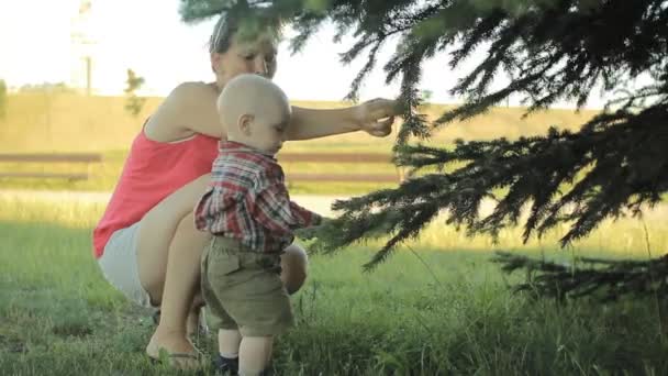 Mutter steht im Park in der Nähe der Bäume und hält ihren lächelnden kleinen Sohn. Kinder berühren Baum — Stockvideo