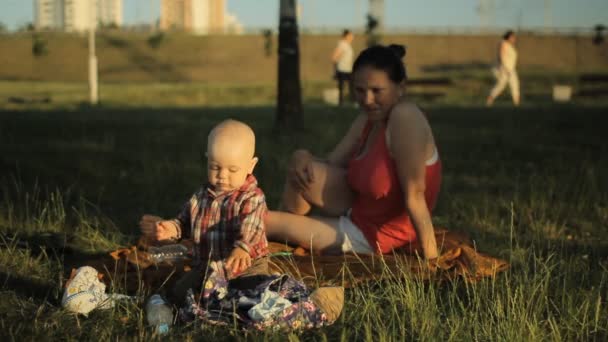 公園で赤ちゃんの息子と一緒に遊んでの母。彼らは草に毛布の上に座ると笑顔 — ストック動画