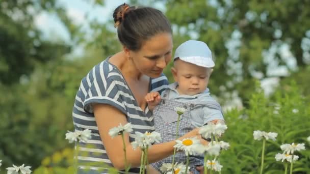 Ung mamma med hennes vackra pojke röra blommor nära sitt hem. Sonen ser på plantorna uppmärksamt — Stockvideo