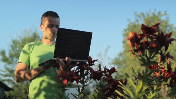 Un hombre trabajando en un portátil cerca de camas de flores temprano en la mañana — Vídeo de stock