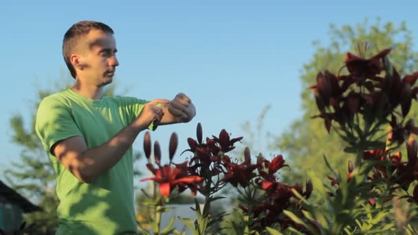 Άνθρωπος αγγίζοντας έξυπνα ρολόγια γύρω από παρτέρια λουλούδια νωρίς το πρωί — Αρχείο Βίντεο