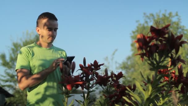 Ung man vidrör telefonen nära rabatter av blommor tidigt på morgonen — Stockvideo