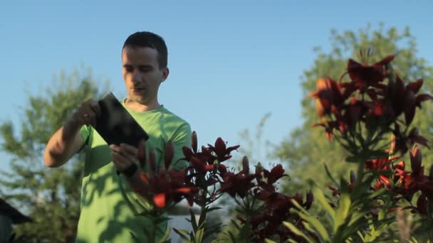 Un joven está jugando en una tableta cerca de las flores temprano en la mañana — Vídeo de stock
