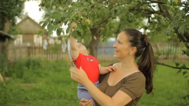 Little baby boy with her young mother play with apple tree — Stock Video