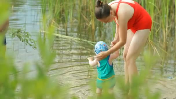 Мати і дід грають з маленьким хлопчиком в озері. Красива дитина ходить по воді — стокове відео