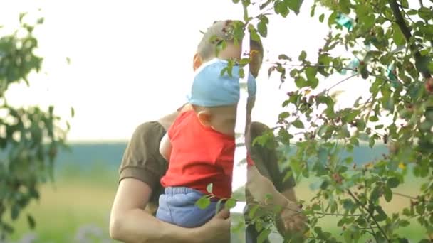 Anne ve genç oğlu ağaçtan çilek yemek. Güzel bebek bir yıldan az — Stok video