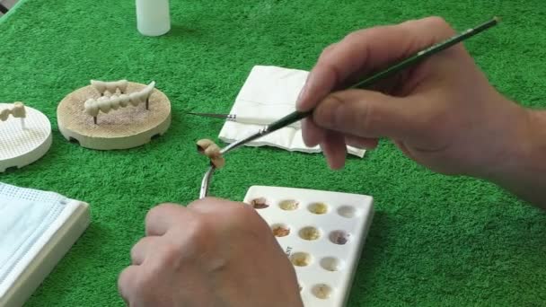 Dentista trabalhando com material cerâmico, escova e dentaduras. Técnico dentário no local de trabalho. Fechar — Vídeo de Stock