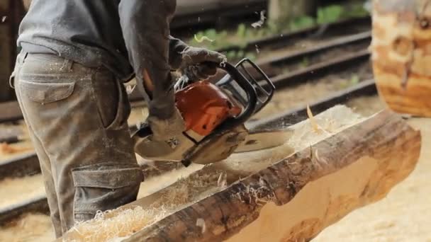 O homem corta a motosserra para o futuro lar. Obras de construção com uma estrutura de madeira. Fechar — Vídeo de Stock