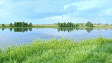 Parlak manzara: mavi su ve yeşil bitki örtüsü su üzerinde bir yaz sabahı