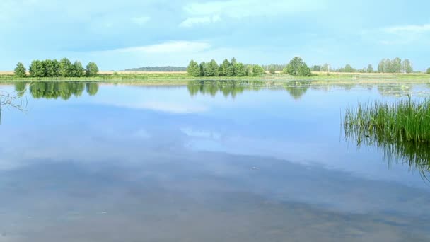 Heldere landschap: blauw water en groene vegetatie op het water op een Zomerochtend — Stockvideo