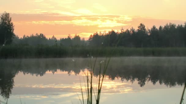 Vroege ochtend op het meer. Mist over het luchtruim van het water en oranje voor zonsopgang. Het meer is omringd door bos. bewegende camera — Stockvideo