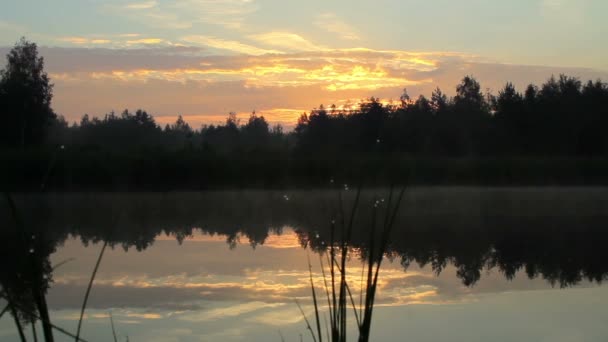 Tôt le matin sur le lac. Brouillard sur l'eau et ciel orange avant le lever du soleil. Le lac est entouré par la forêt. caméra mobile — Video