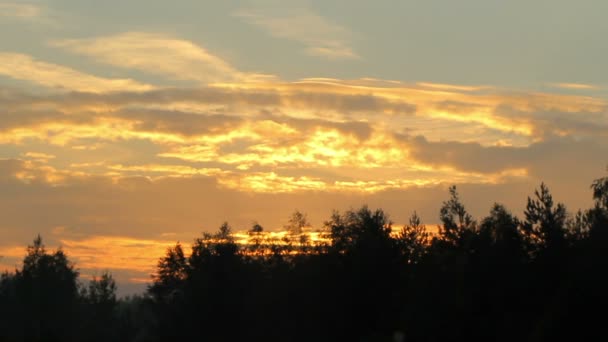 Vroege ochtend op het meer. Mist over het luchtruim van het water en oranje voor zonsopgang. Het meer is omringd door bos. bewegende camera — Stockvideo