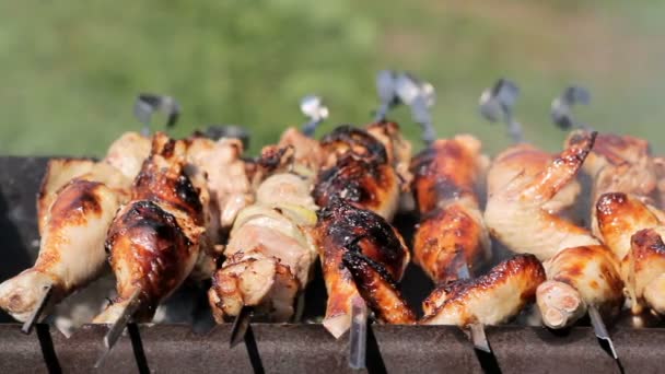 Frango e porco grelhados em carvão vegetal num churrasco. A carne gira e tem pele dourada. mover a câmera — Vídeo de Stock