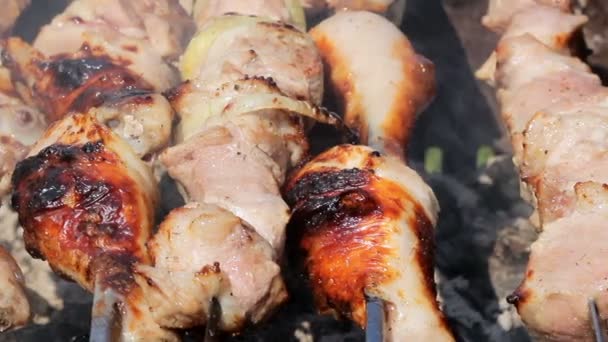 Frango e porco grelhados em carvão vegetal num churrasco. A carne gira e tem pele dourada. a mover a câmara. Fechar — Vídeo de Stock