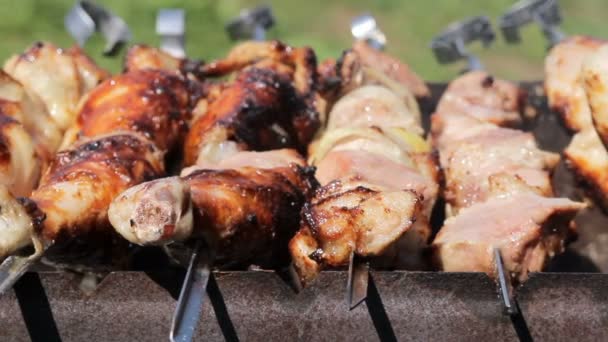 Pollo y cerdo a la parrilla en carbón en una barbacoa. La carne gira y tiene la piel dorada. moviendo la cámara. De cerca. — Vídeo de stock