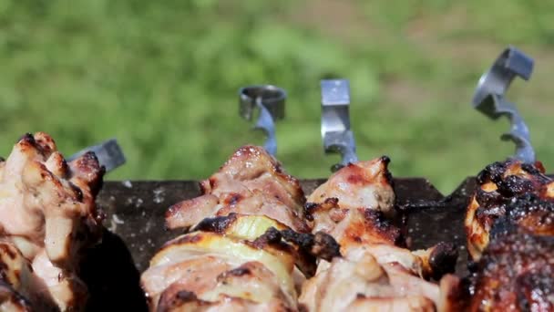 Poulet et porc grillés au charbon dans un barbecue. La viande tourne et a la peau dorée. déplacer la caméra. Gros plan — Video