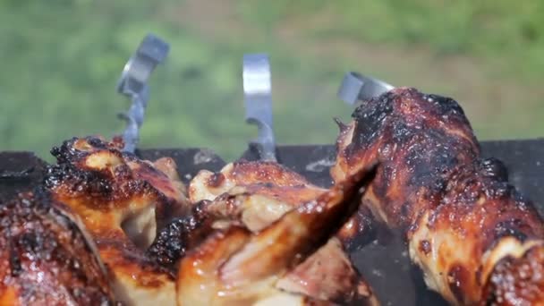 Pollo e maiale alla griglia su carbone in un barbecue. La carne ruota e ha la pelle d'oro. Muovi la telecamera. Da vicino. — Video Stock