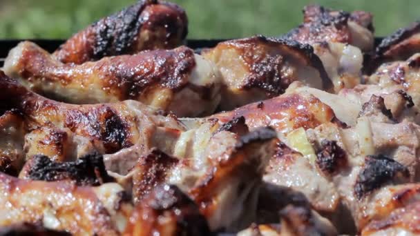 Kip en varkensvlees, gegrild op houtskool in een barbecue. Vlees wordt gedraaid en heeft gouden huid. bewegen van de camera. Close-up — Stockvideo