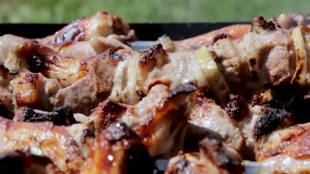 Poulet et porc grillés au charbon dans un barbecue. La viande tourne et a la peau dorée. déplacer la caméra. Gros plan — Video