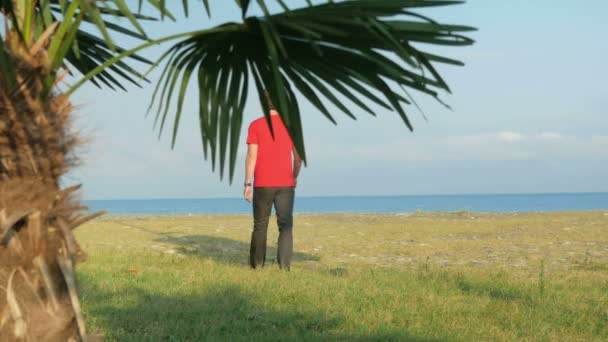 岩の多い浜辺の男前景のヤシの木。男は海に行き、そこから戻ってくる — ストック動画