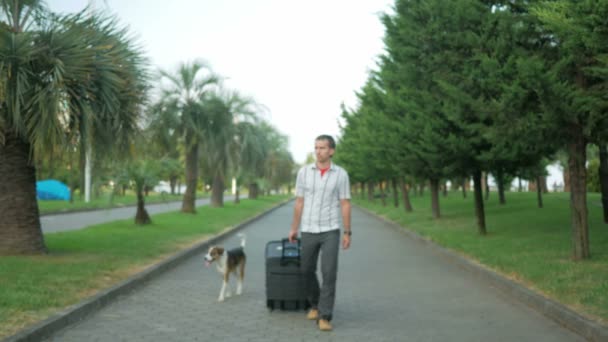 Mladý muž turista je s velkým kufrem na kolech kolem městského parku. Zastaví se a rozhlédne. Poblíž prochází zatoulaný pes — Stock video