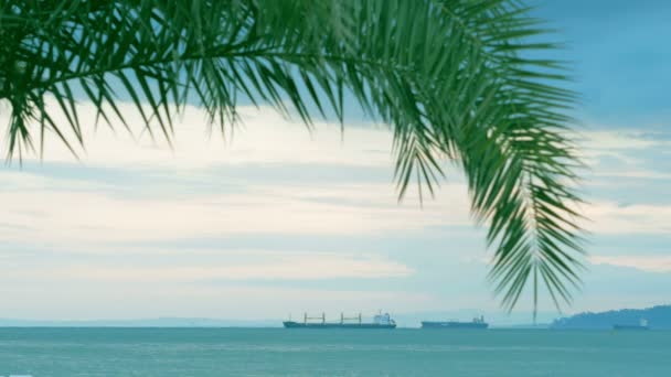 Schöne Landschaft: der Tanker weg mit dem Schiff im Ozean. Im Vordergrund eine Palme — Stockvideo
