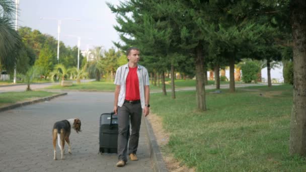 Ung man turist är med en stor resväska på hjul runt stadsparken. Han stannar och ser sig omkring. Närliggande promenader herrelös hund — Stockvideo