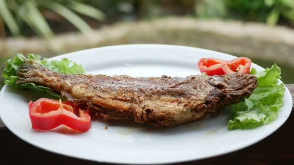 Pescado de mar asado con hierbas frescas y pimienta. Detrás de la cafetería hay lluvia — Vídeo de stock