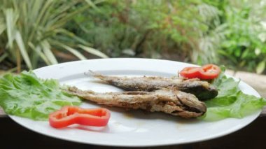 Kavrulmuş Deniz balığı taze otlar ve biber ile. Yağmur kafe olduğunu