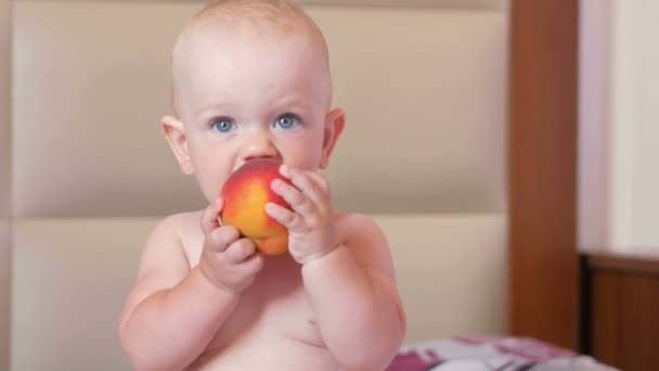 A handsome baby eats an apple in bed at breakfast. He bites off a piece and puts in his mouth — Stock Video