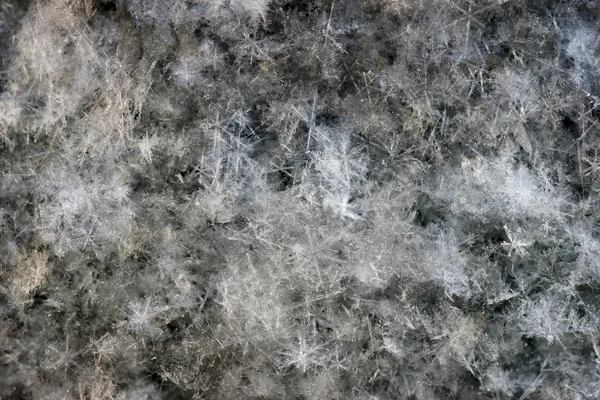 Φόντο νιφάδων χιονιού — Φωτογραφία Αρχείου