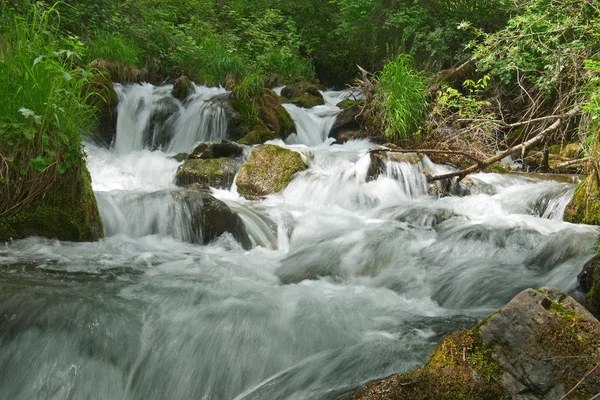 Rio das montanhas — Fotografia de Stock