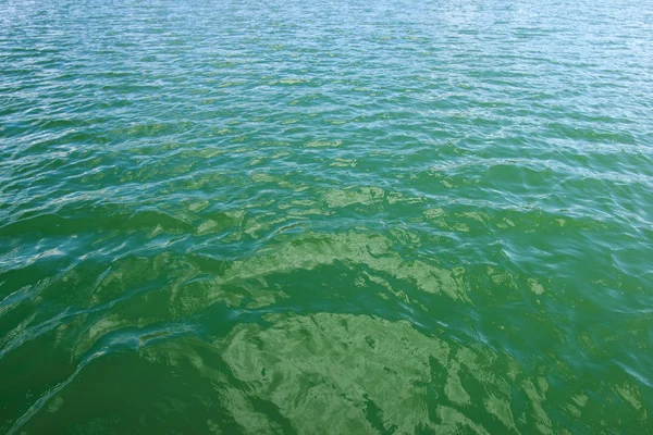 海洋温水 waterwater — ストック写真