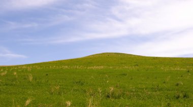 Yeşil Çimen Alanı