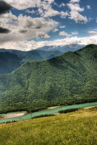 River in the mountains — Stock Photo, Image