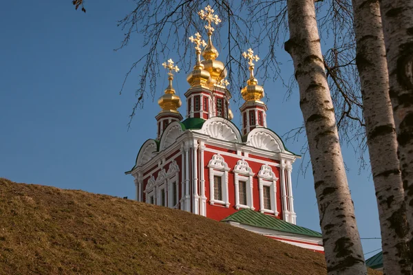 Novodevichy manastır kilisesi ve huş ağacı — Stok fotoğraf