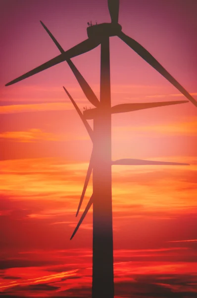 Turbina eolica al tramonto — Foto Stock
