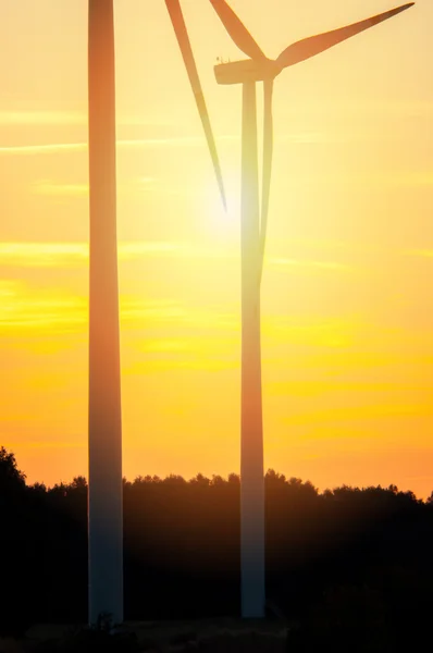 Vindkraftverk vid solnedgången — Stockfoto