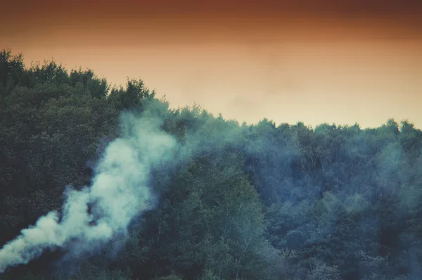 Humo en el bosque —  Fotos de Stock