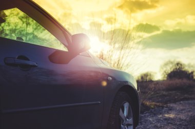 Ormanın yanındaki park edilmiş araba