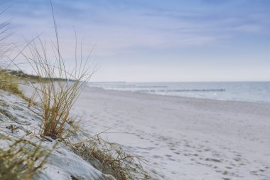 Sunny beach kumulları ile