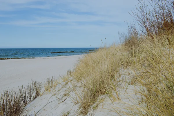 Słonecznej plaży z wydmami — Zdjęcie stockowe