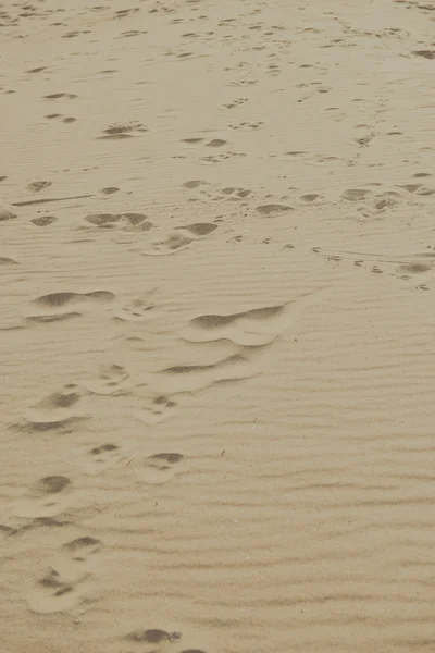 El primer plano del patrón de arena de la playa en verano — Foto de Stock